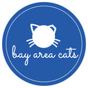 Bay Area Cats
