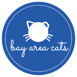 Bay Area Cats